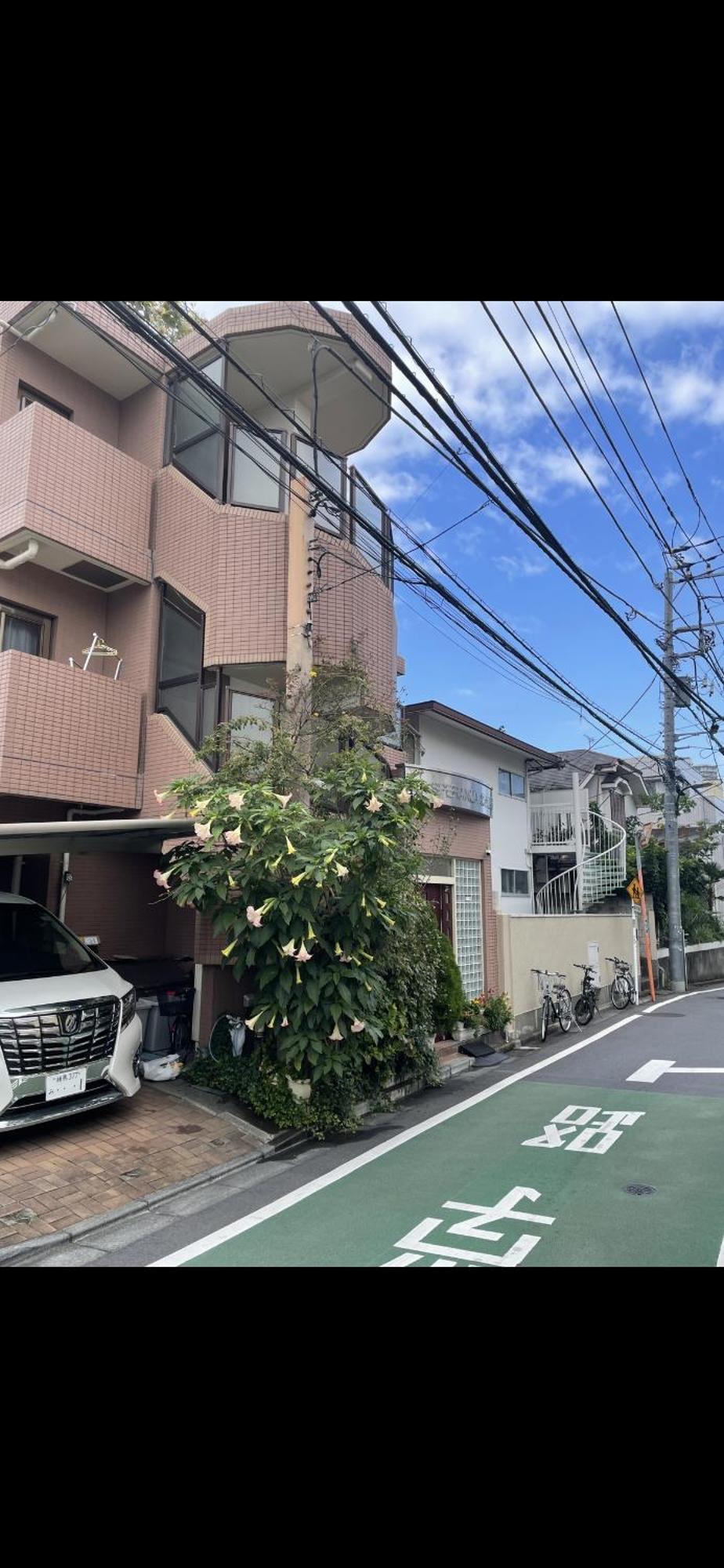 新宿安靜の家-A Quiet Home In Shinjuku - A 26 Square Meter Double Bed Room That Feels Like Home Tokio Exterior foto