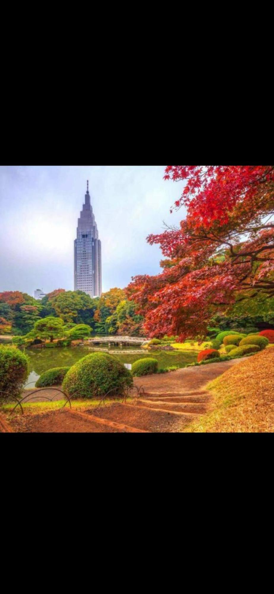 新宿安靜の家-A Quiet Home In Shinjuku - A 26 Square Meter Double Bed Room That Feels Like Home Tokio Exterior foto