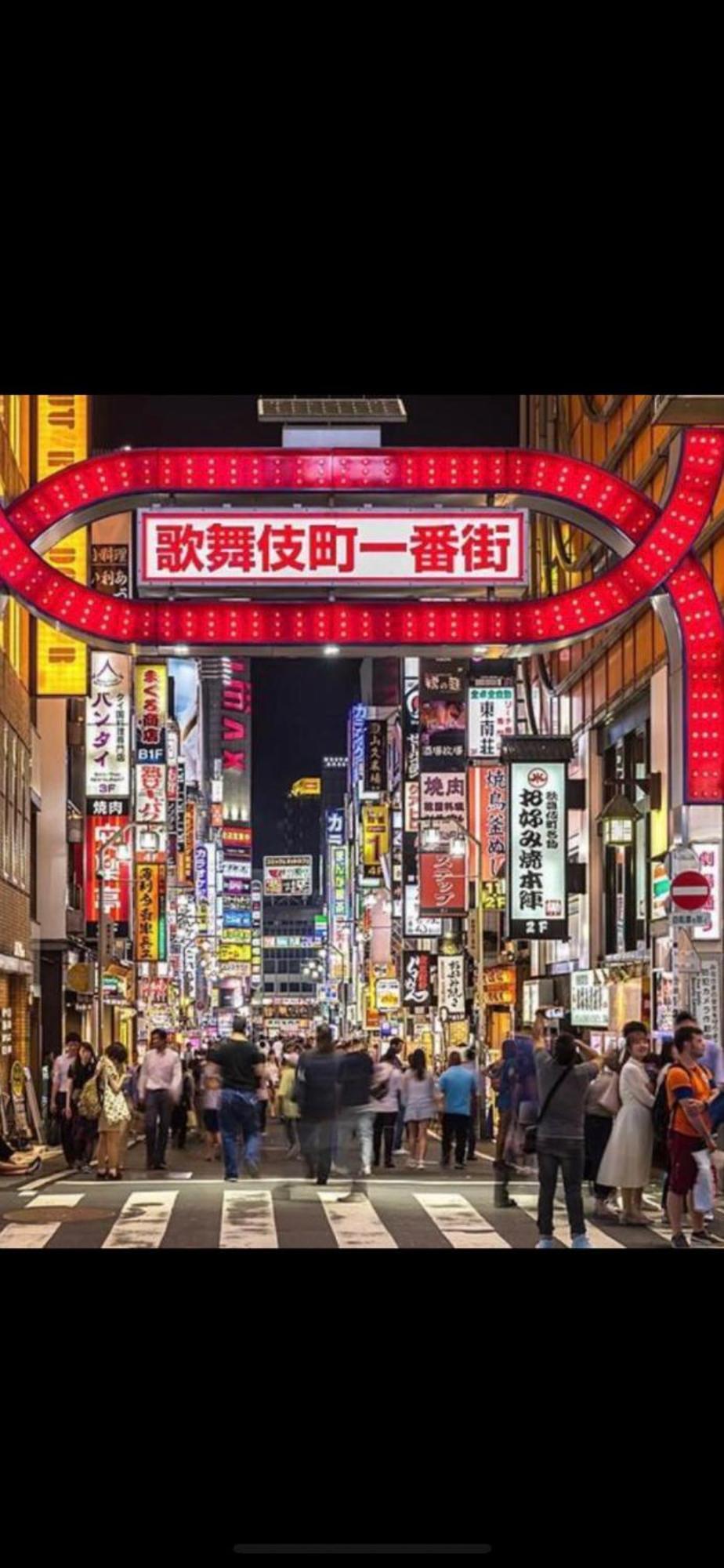 新宿安靜の家-A Quiet Home In Shinjuku - A 26 Square Meter Double Bed Room That Feels Like Home Tokio Exterior foto